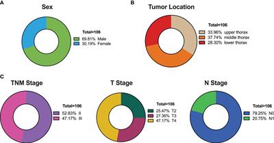 Innovative regression model-based decision support tool for optimizing radiotherapy techniques in thoracic esophageal cancer